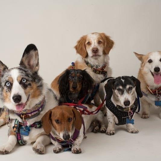 Land restoration and community housing